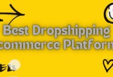 Best Dropshipping Ecommerce Platforms