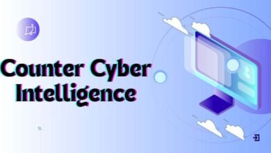 Counter Cyber Intelligence