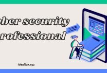 cyber security professional