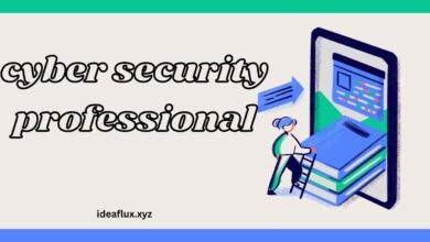 cyber security professional